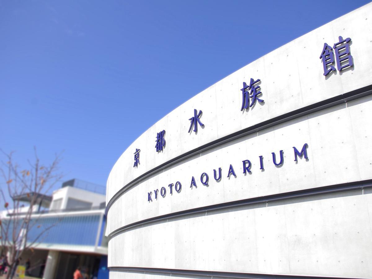 酒店 京都维格国际酒店 - 四条乌丸
